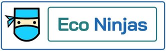 Eco Ninjas